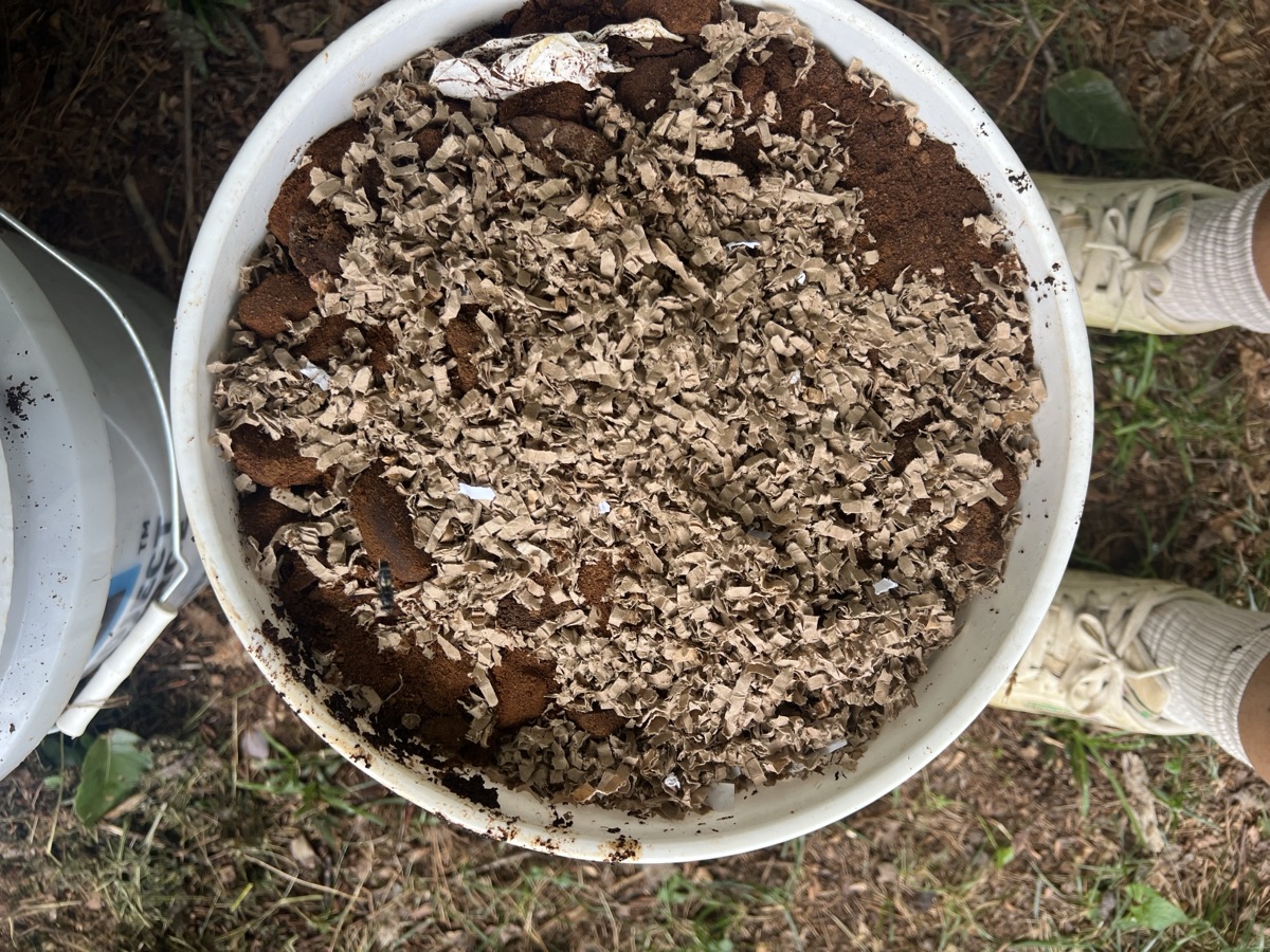A bucket of coffee grounds and shredded cardboard