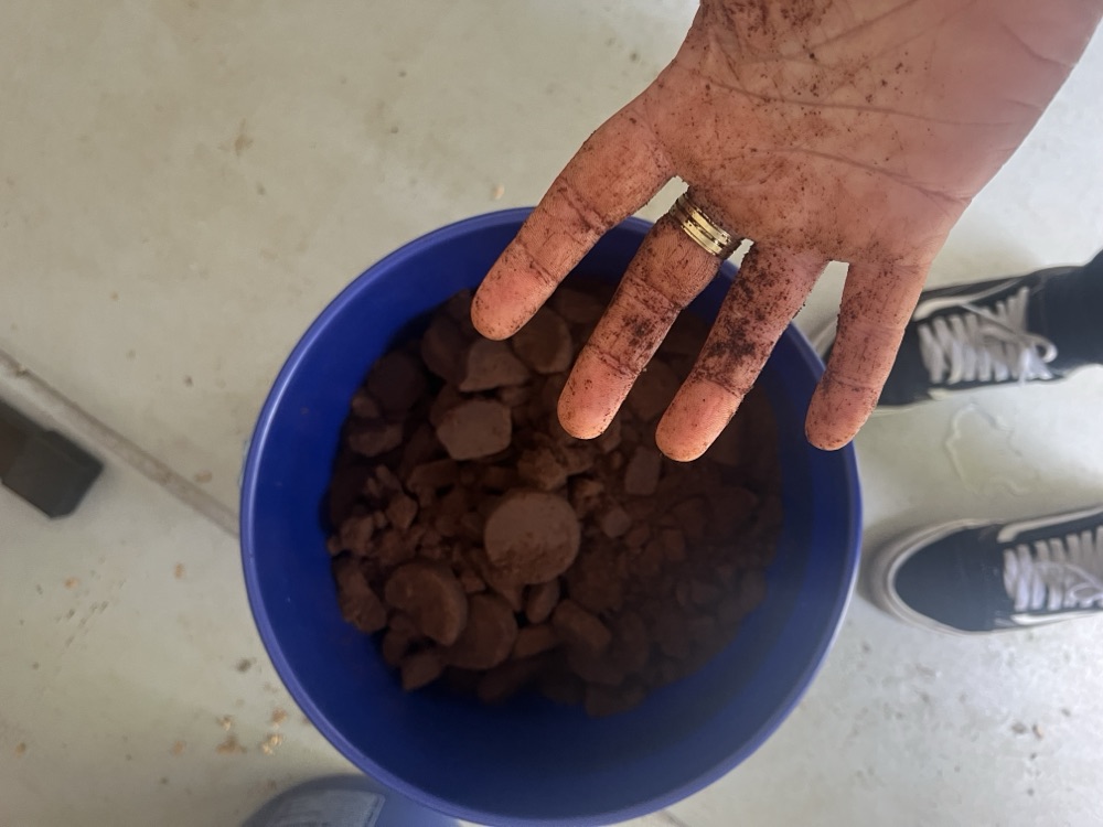 A hand covered in coffee grounds above a bucket of compost
